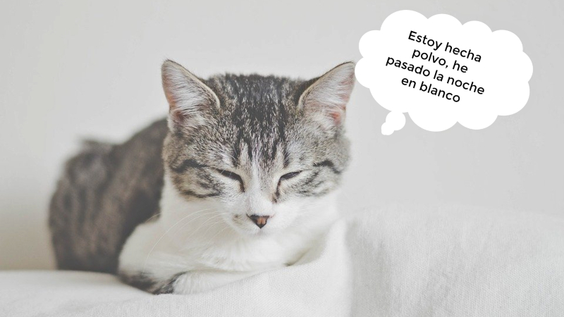 Origen de las frases hechas